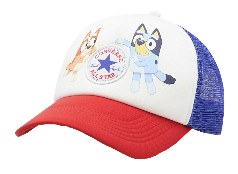 a bluey hat