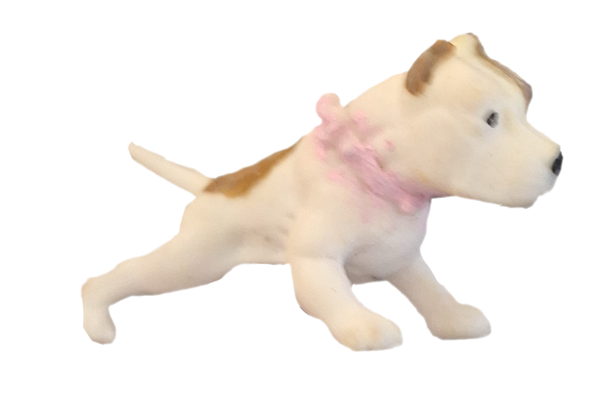 princess the pitbull