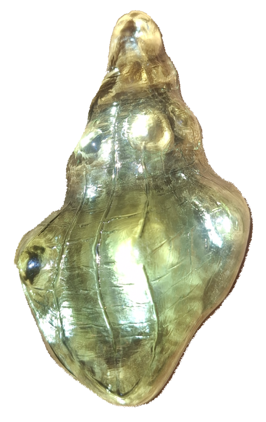 a green seashell paperweight