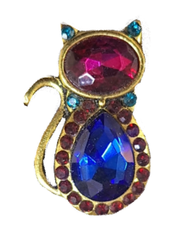 cat brooch but it's actually a ring and you can't see the back so i'd rather call it a brooch