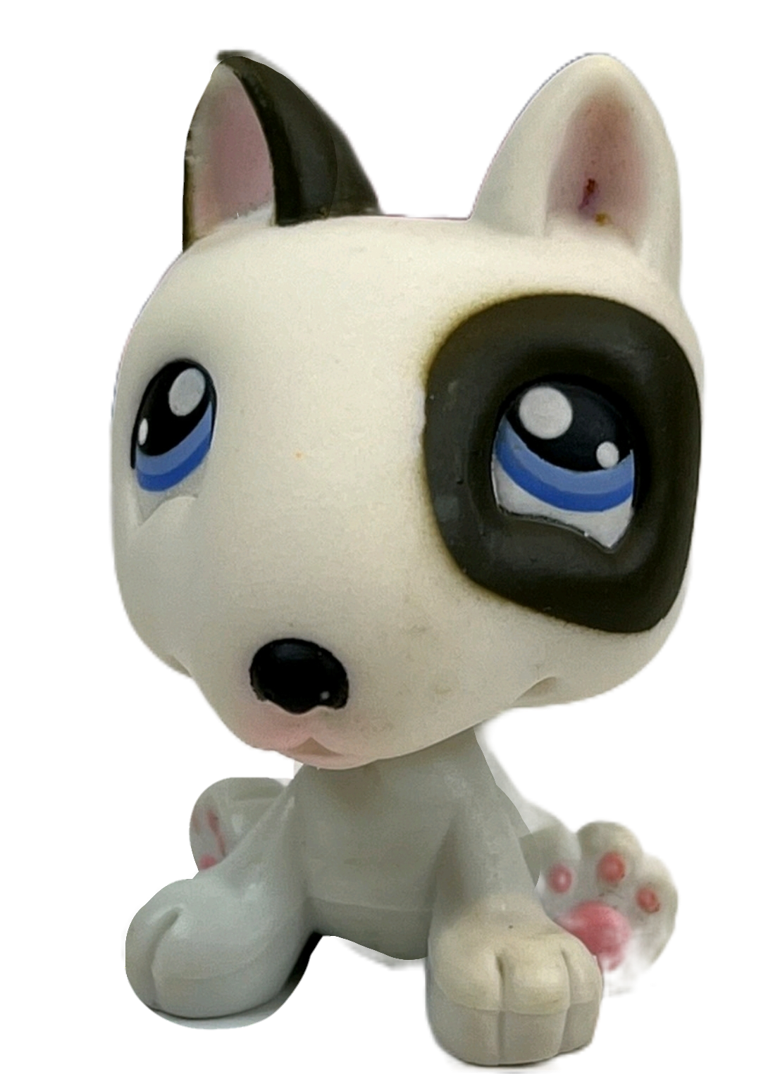 the bullterrier freed from his cage