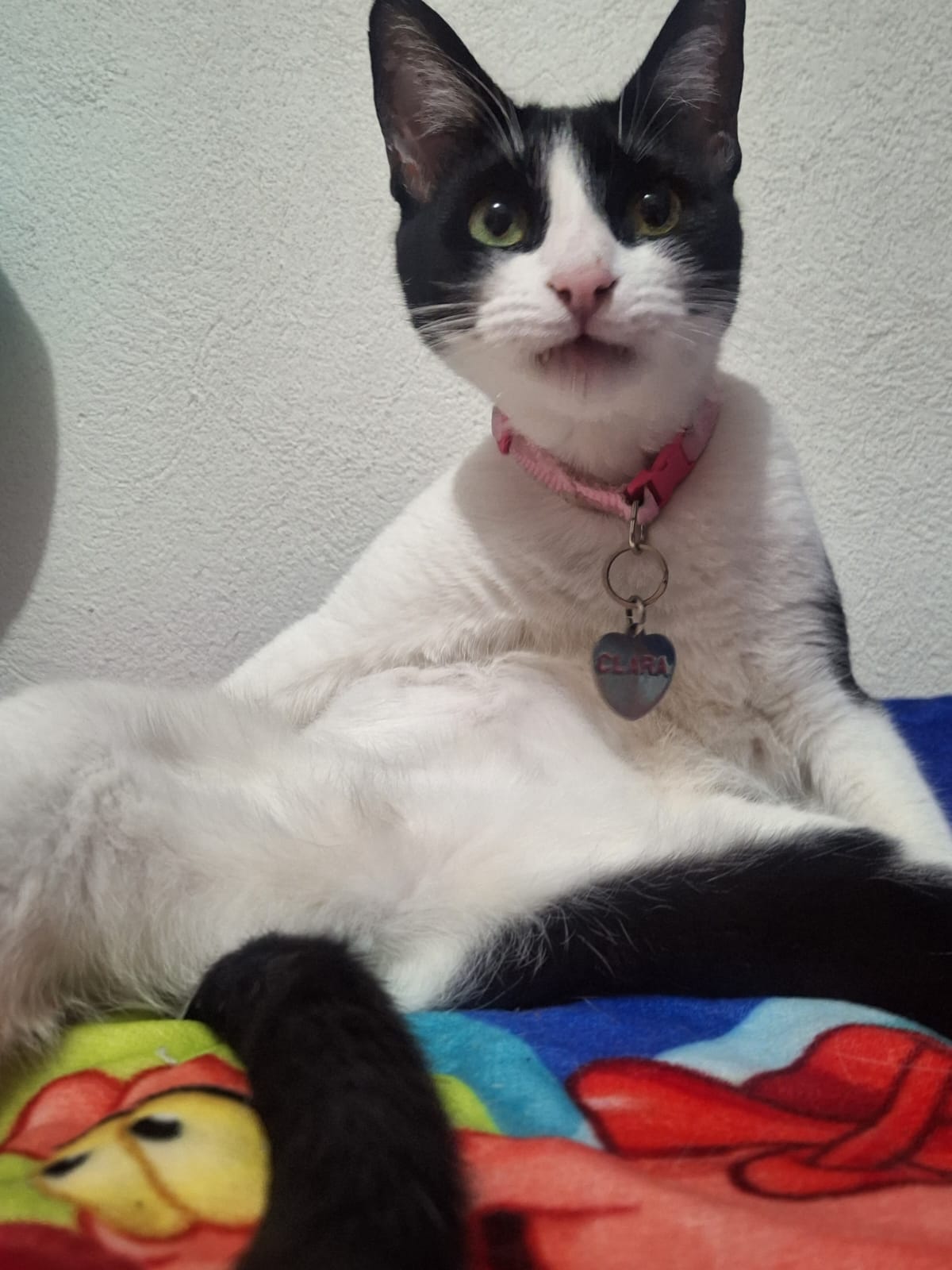 clara stares at your soul